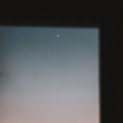 Green forest landscape through a window frame