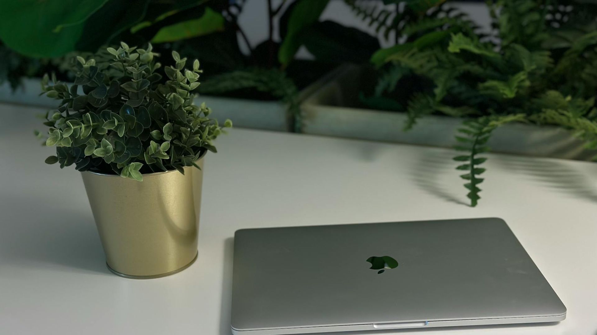 Minimalist workspace with soft lighting and green plants